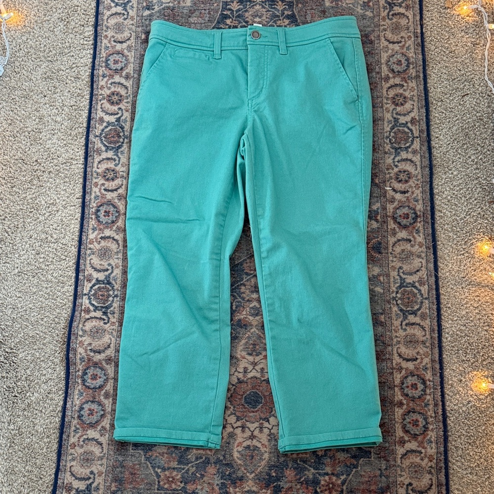 Market & Spruce Aqua Trousers